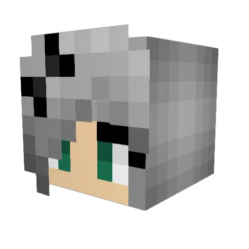 craigrreynolds Minecraft avatar head, 3D render