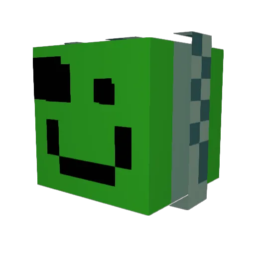 crampy_cat21 Minecraft avatar head, 3D render