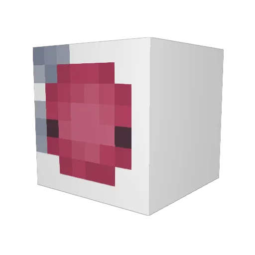 cranberriesauce Minecraft avatar head, 3D render