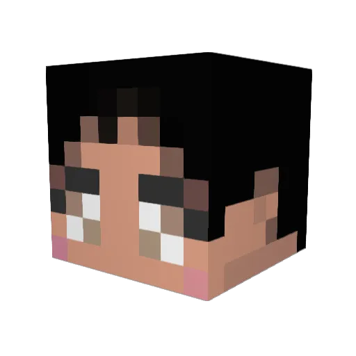 cranberryjuiceo Minecraft avatar head, 3D render