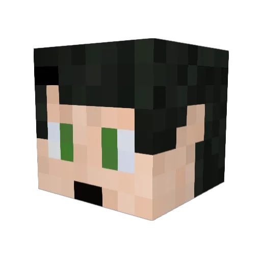 cranegul Minecraft avatar head, 3D render