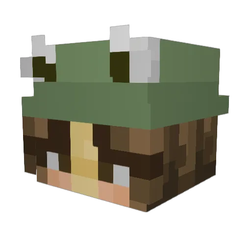 cranklybiscuit Minecraft avatar head, 3D render