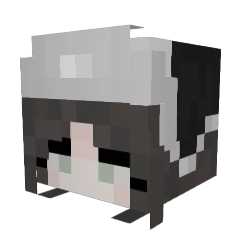 crankylizard2568 Minecraft avatar head, 3D render