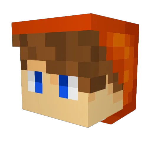 crashandburnds Minecraft avatar head, 3D render