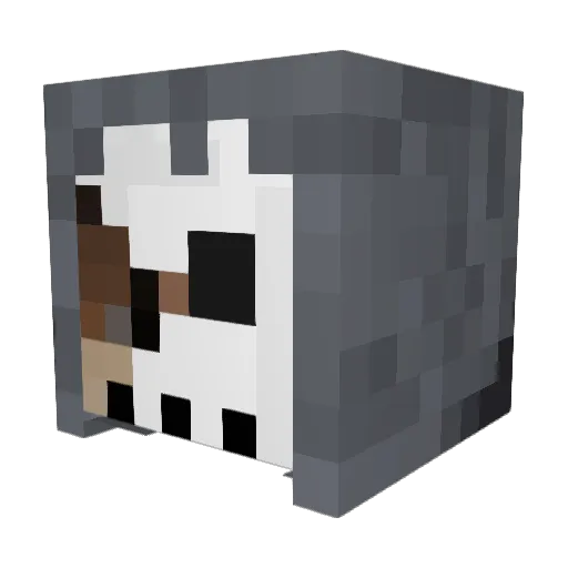 crashbrayden Minecraft avatar head, 3D render