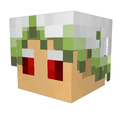 crasher2221 Minecraft avatar head, 3D render