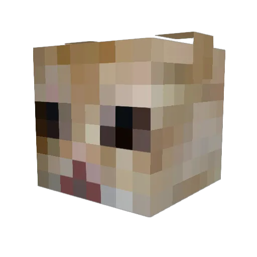 crashia Minecraft avatar head, 3D render