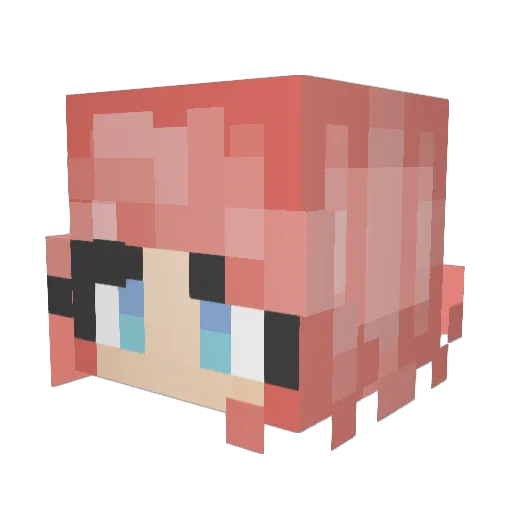crasian24 Minecraft avatar head, 3D render