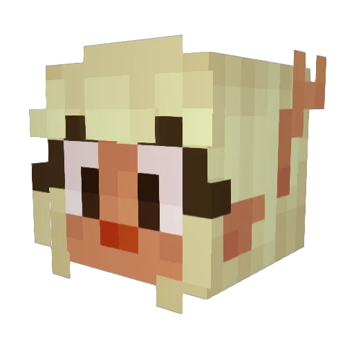 crasocatt Minecraft avatar head, 3D render
