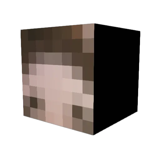 crassonminka Minecraft avatar head, 3D render