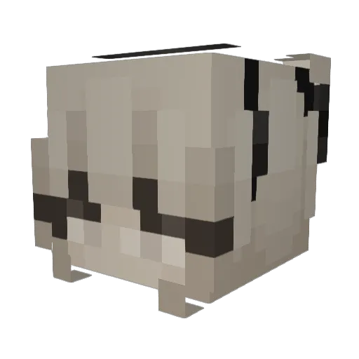 crater1989 Minecraft avatar head, 3D render
