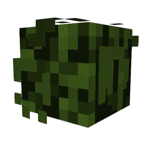 cray_way Minecraft avatar head, 3D render