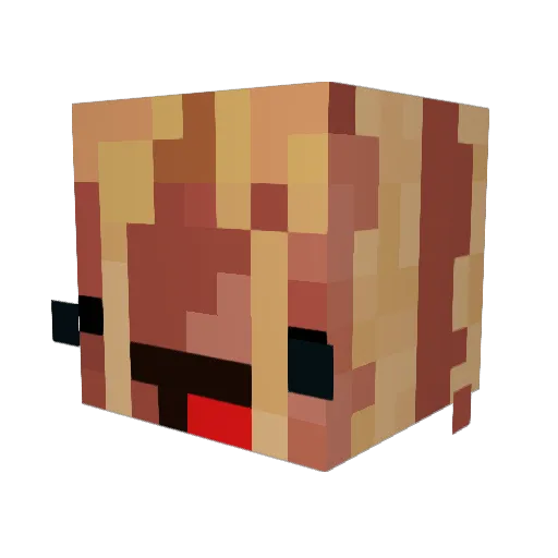 craycrayfish862 Minecraft avatar head, 3D render