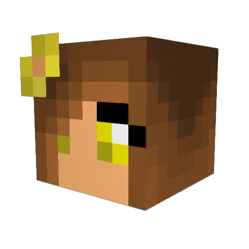 crayolala Minecraft avatar head, 3D render