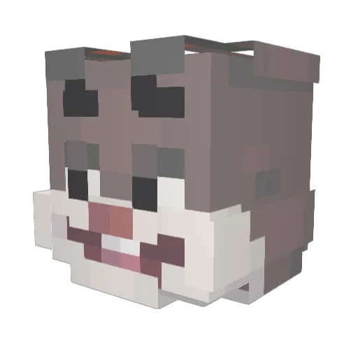 crazedturtle77 Minecraft avatar head, 3D render