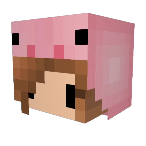 crazieb4now1 Minecraft avatar head, 3D render