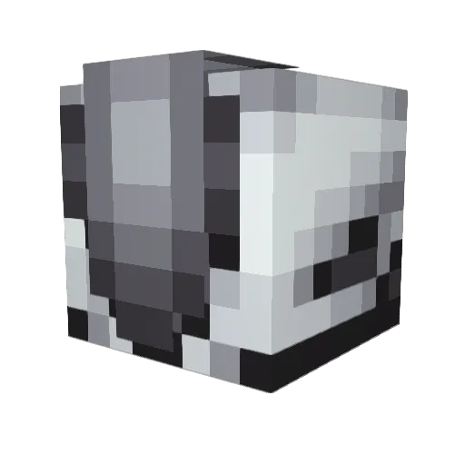 crazyChester24 Minecraft avatar head, 3D render