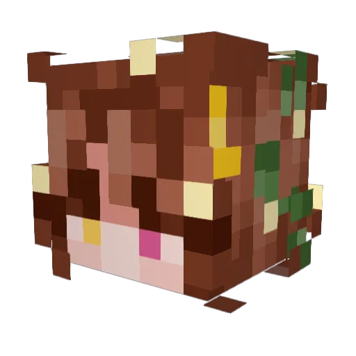 crazyGirl2583 Minecraft avatar head, 3D render