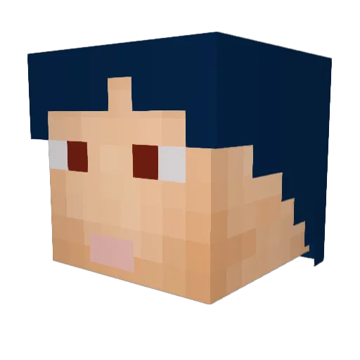 crazyPandaaa Minecraft avatar head, 3D render
