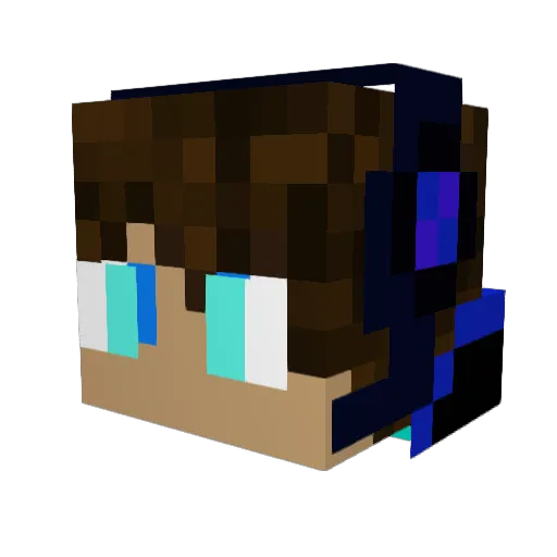crazyPenguin2012 Minecraft avatar head, 3D render