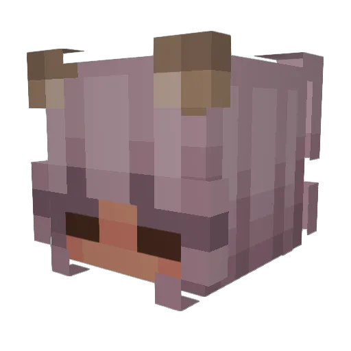 crazy_KR Minecraft avatar head, 3D render