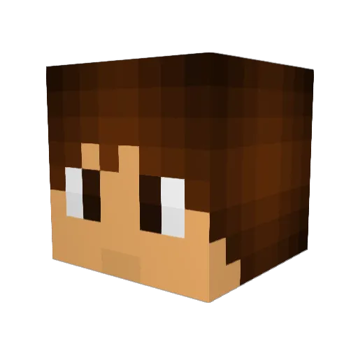 crazy_miner26 Minecraft avatar head, 3D render