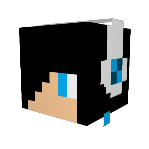 crazy_sleeps Minecraft avatar head, 3D render