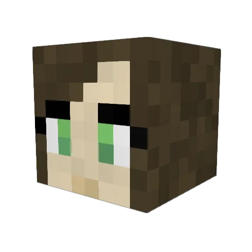 crazybarks44744 Minecraft avatar head, 3D render