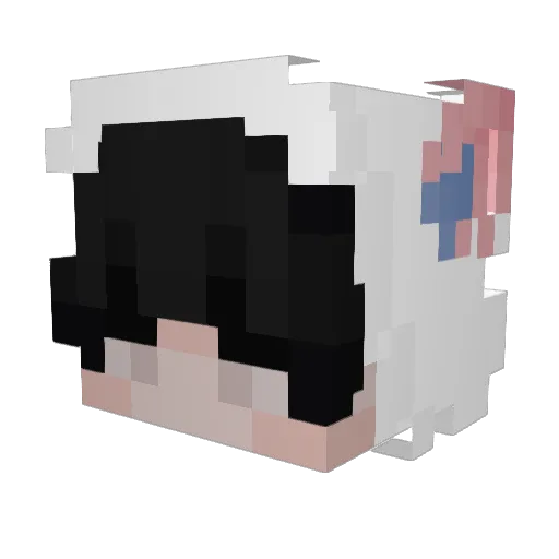 crazyboy12321 Minecraft avatar head, 3D render
