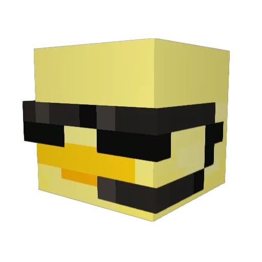 crazycat1234567 Minecraft avatar head, 3D render