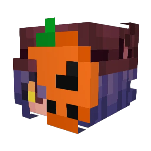 crazycat438 Minecraft avatar head, 3D render