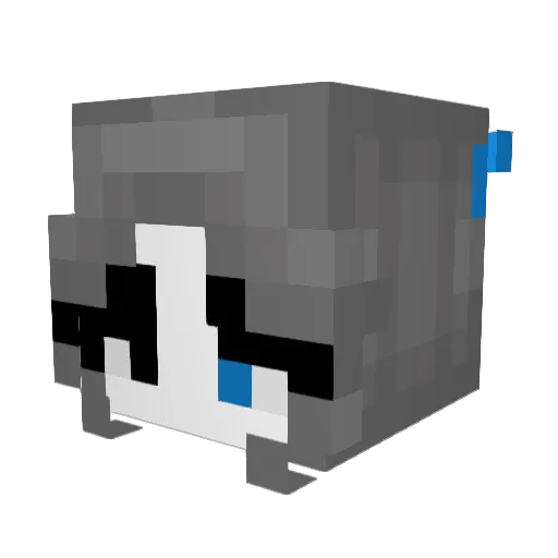 crazycat909 Minecraft avatar head, 3D render