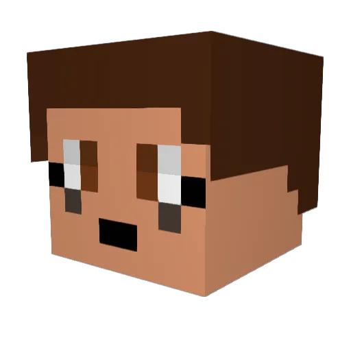 crazycat_person Minecraft avatar head, 3D render