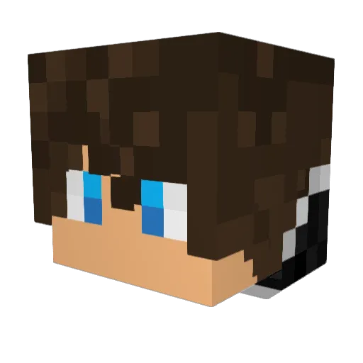 crazycatlady3000 Minecraft avatar head, 3D render