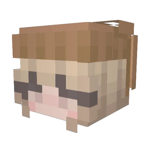 crazycoco33 Minecraft avatar head, 3D render