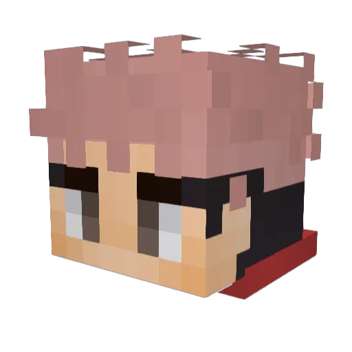 crazycon500 Minecraft avatar head, 3D render