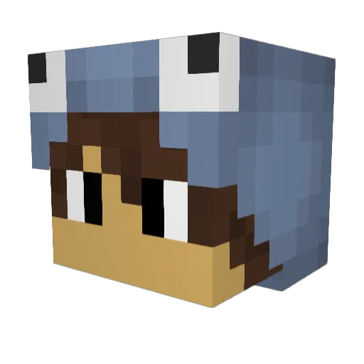 crazycookie247 Minecraft avatar head, 3D render
