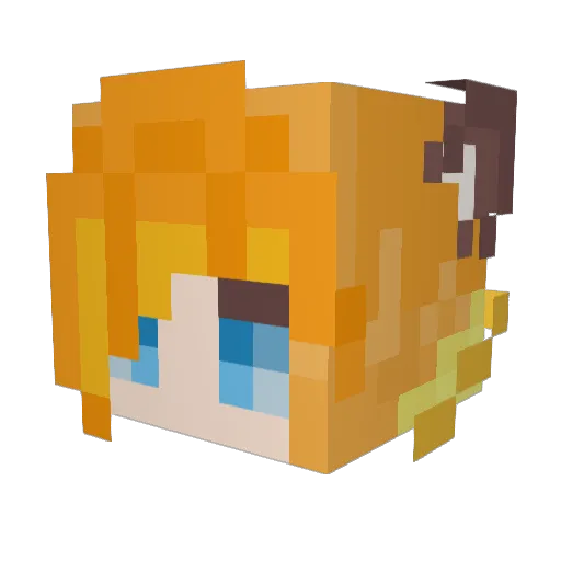 crazycookie5150 Minecraft avatar head, 3D render