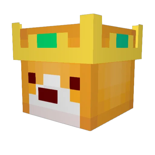 crazycorgs Minecraft avatar head, 3D render