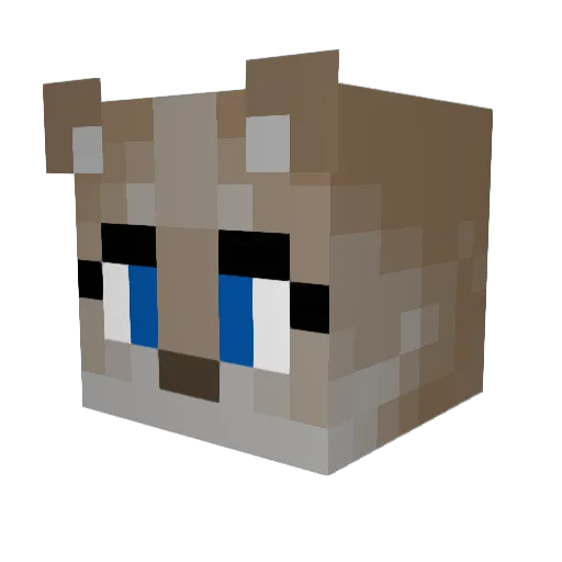 crazycreeper1029 Minecraft avatar head, 3D render