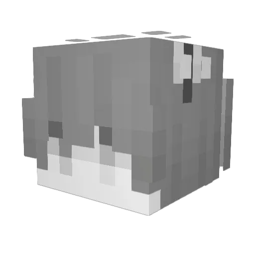 crazycutcat Minecraft avatar head, 3D render