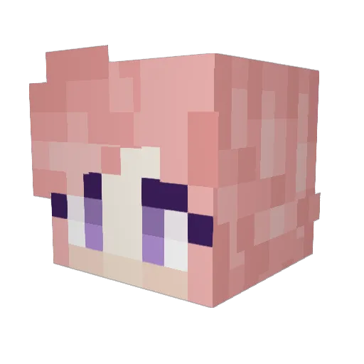 crazyenderfrog Minecraft avatar head, 3D render