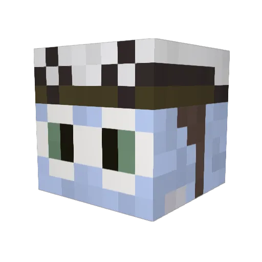 crazyfrogdu94 Minecraft avatar head, 3D render