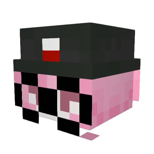 crazyfrogfan1672 Minecraft avatar head, 3D render