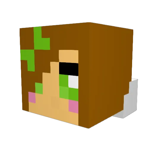 crazyhead7321 Minecraft avatar head, 3D render