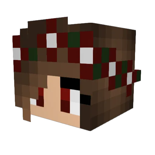 crazyhobbit25 Minecraft avatar head, 3D render