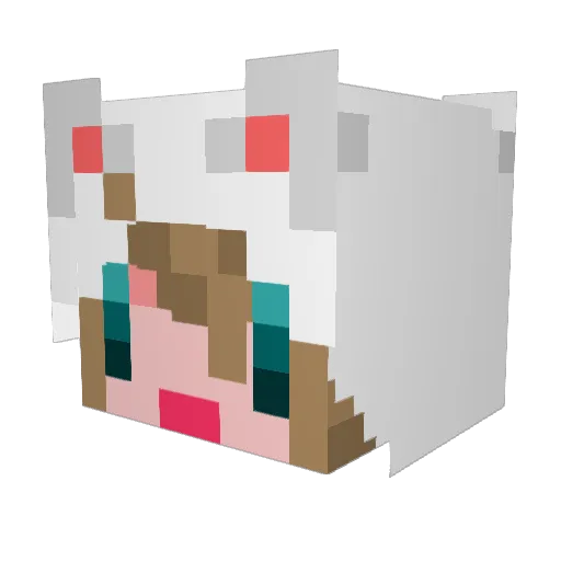 crazyhopper Minecraft avatar head, 3D render