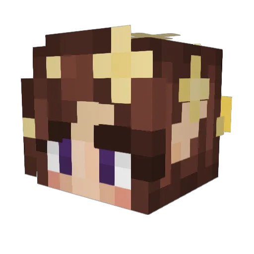 crazyhorse19 Minecraft avatar head, 3D render