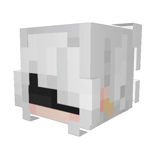 crazyhotdog241 Minecraft avatar head, 3D render
