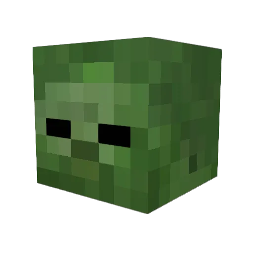 crazykid114 Minecraft avatar head, 3D render